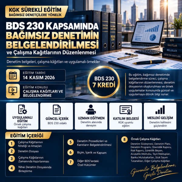 BDS 230 KAPSAMINDA BAĞIMSIZ DENETİMİN BELGELENDİRİLMESİ VE ÇALIŞMA KAĞITLARININ DÜZENLENMESİ 
