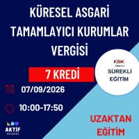 5-Küresel Asgari Tamamlayıcı Kurumlar Vergisi 7 Kredi