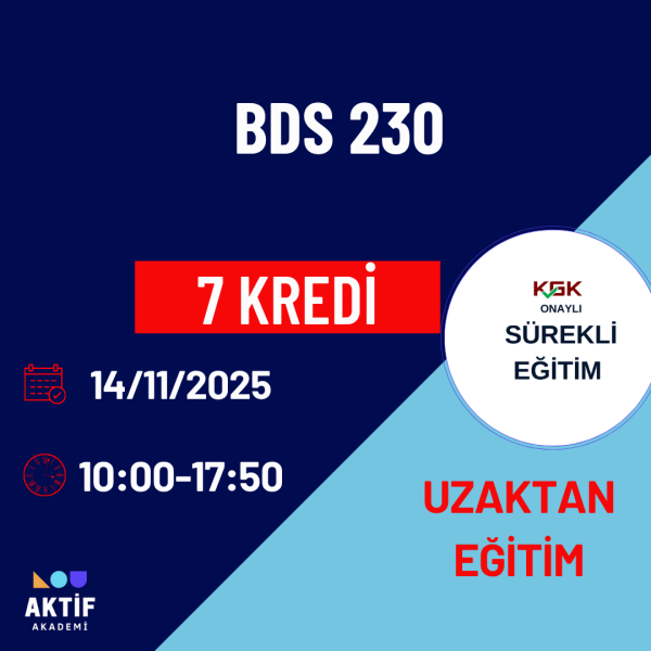 BDS 230 KAPSAMINDA BAĞIMSIZ DENETİMİN BELGELENDİRİLMESİ VE ÇALIŞMA KAĞITLARININ DÜZENLENMESİ  BDS 230 KAPSAMINDA BAĞIMSIZ DENETİMİN BELGELENDİRİLMESİ VE ÇALIŞMA KAĞITLARININ DÜZENLENMESİ