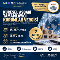 5-Küresel Asgari Tamamlayıcı Kurumlar Vergisi 7 Kredi